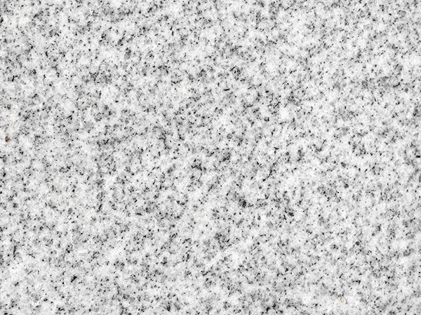 1725520107412942.jpg